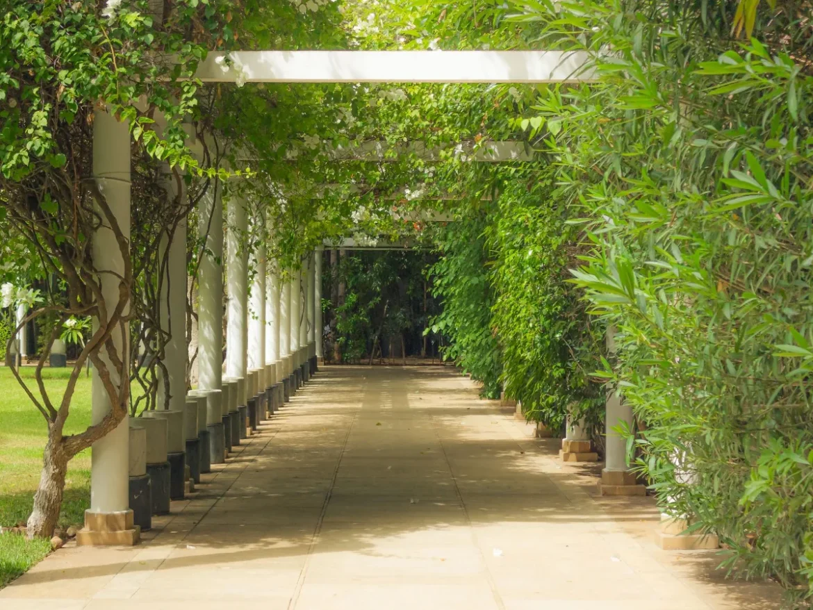 Best Shade Cloth for Phoenix Gardens - what is best shade cloth for garden in phoenix