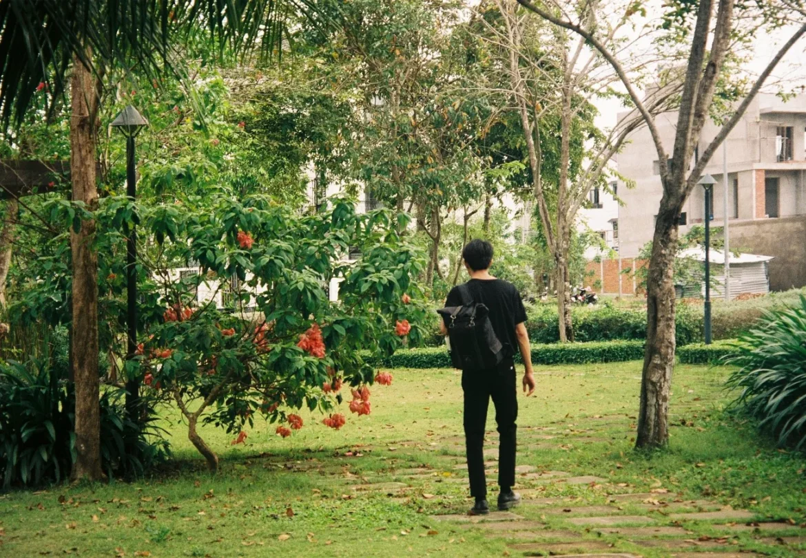 The Bag Hero’s Journey Explained - the bag hero's leisurely journey to another world